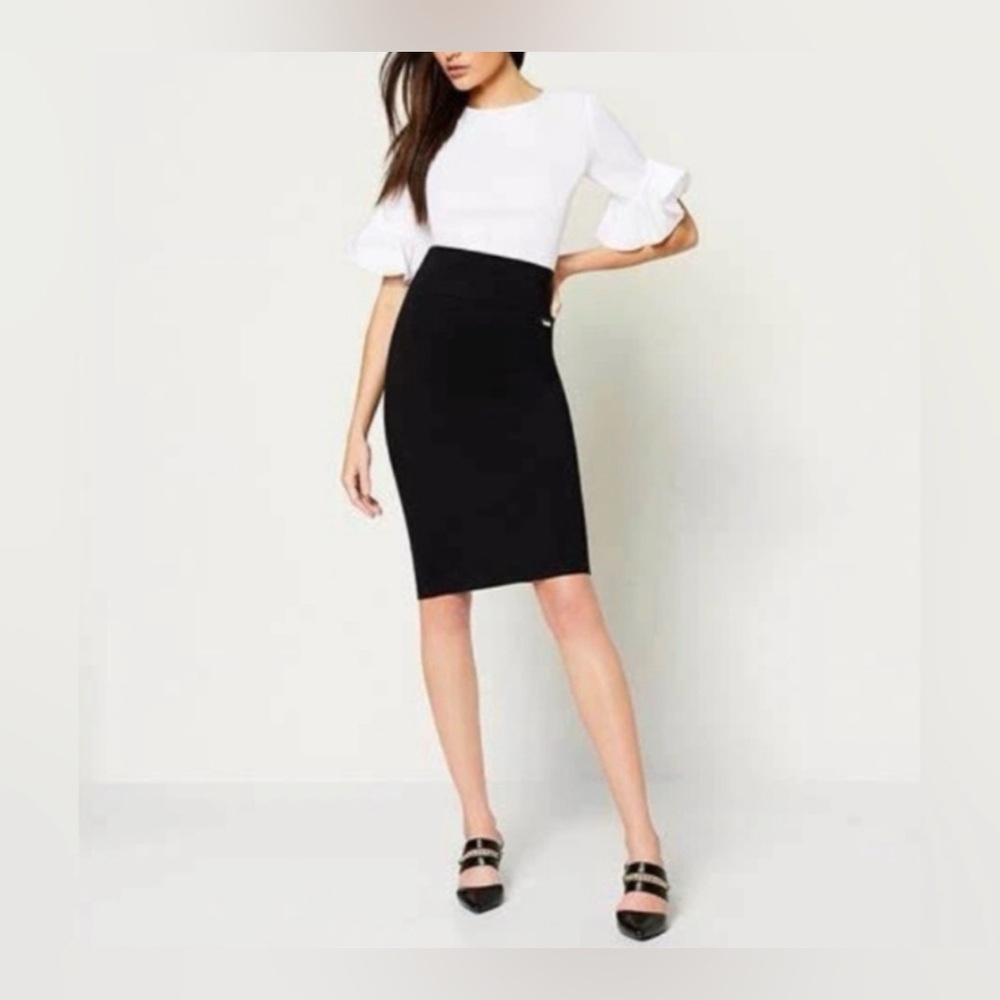 Eileen Fisher Classic Black Pencil Skirt